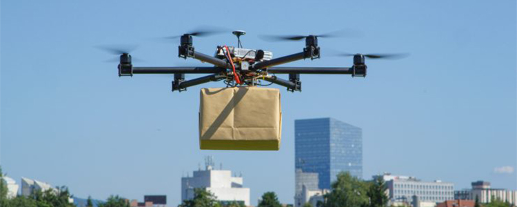 Which Items Delivery Drone-1