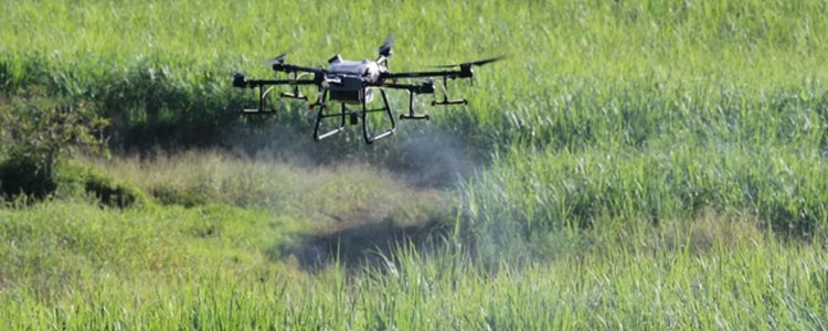 Agricultural drones help plant sugarcane in South Africa-4