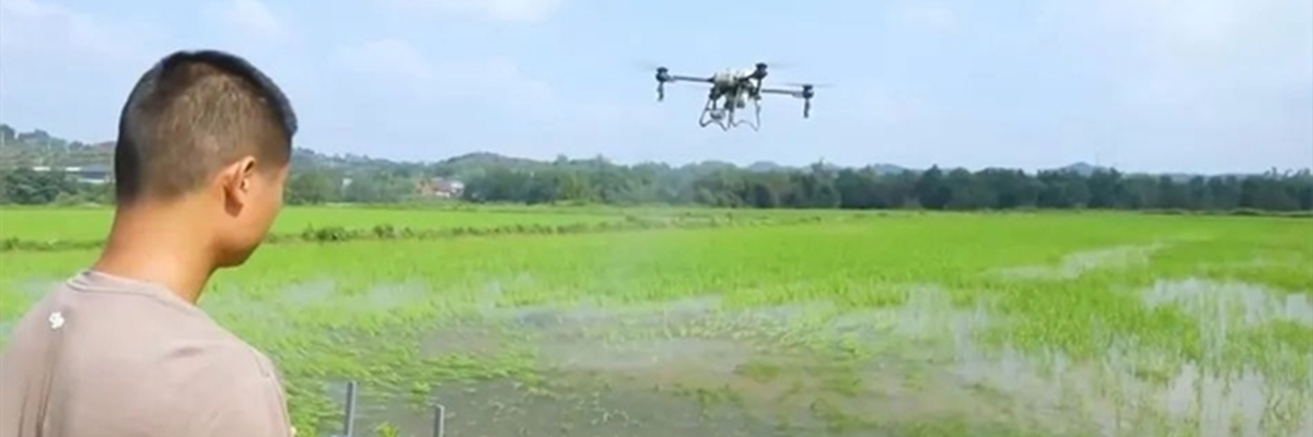 Innovative-Applications-of-Agricultural-Drones-in-Crop-Protection-3