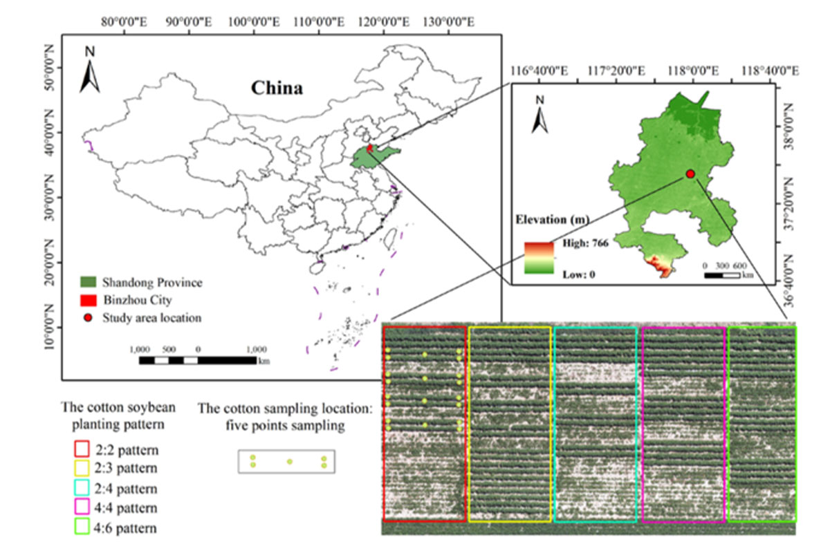 UAV-Multispectral-Remote-Sensing-to-Monitor-Cotton-Growth-1